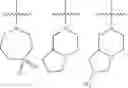 Fig. 22 - Hepatitis B antiviral agents