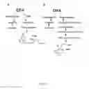 Fig. 04 - COMPOSITIONS AND METHODS FOR REDUCING CHRONIC LOW-LEVEL INFLAMMATION