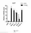 Fig. 06 - INDUCING BROWN FAT FATE AND FUNCTION