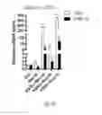 Fig. 40 - INDUCING BROWN FAT FATE AND FUNCTION