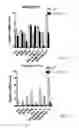Fig. 45 - INDUCING BROWN FAT FATE AND FUNCTION