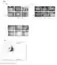 Fig. 02 - METHODS OF USE FOR THERAPEUTICS TARGETING THE PATHOGEN PORPHYROMONAS GINGIVALIS
