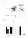 Fig. 09 - METHODS OF USE FOR THERAPEUTICS TARGETING THE PATHOGEN PORPHYROMONAS GINGIVALIS