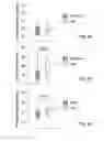 Fig. 06 - ATTENUATION OF INTRAPULMONARY INFLAMMATION