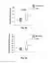 Fig. 07 - ATTENUATION OF INTRAPULMONARY INFLAMMATION