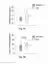 Fig. 08 - ATTENUATION OF INTRAPULMONARY INFLAMMATION