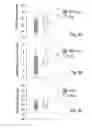 Fig. 09 - ATTENUATION OF INTRAPULMONARY INFLAMMATION