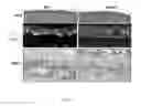 Fig. 02 - Therapeutic applications of Smad7