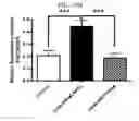Fig. 30 - Peptides derived from NCAPG2 and their use