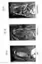 Fig. 03 - Platelet-Derived Growth Factor Compositions and Methods of Use Thereof