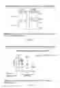 Fig. 24 - METHODS FOR PREVENTING AND TREATING STAPHYLOCOCCUS AUREUS COLONIZATION, INFECTION, AND DISEASE