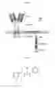 Fig. 09 - Chimeric antigen receptor (CAR) signalling system