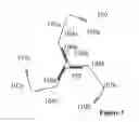 Fig. 02 - CELL ENERGY THERAPEUTICS