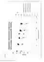 Fig. 09 - Stabilized hypohalous acid solutions