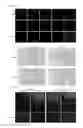 Fig. 10 - Hybrid anticancer prodrug simultaneously producing cinnamaldehyde and quinone methide and method for preparing same