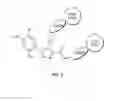 Fig. 03 - Targeted therapeutics