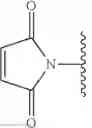 Fig. 34 - Conjugates of cysteine engineered antibodies