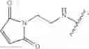Fig. 85 - Conjugates of cysteine engineered antibodies