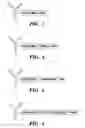 Fig. 02 - Targeted drug delivery through affinity based linkers