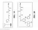 Fig. 11 - Targeted drug delivery through affinity based linkers