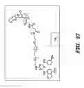 Fig. 16 - Targeted drug delivery through affinity based linkers