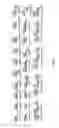 Fig. 02 - Fluorescent conjugated polymers with a bodipy-based backbone and uses thereof