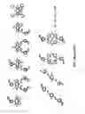 Fig. 04 - Fluorescent conjugated polymers with a bodipy-based backbone and uses thereof