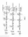 Fig. 10 - Fluorescent conjugated polymers with a bodipy-based backbone and uses thereof