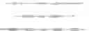Fig. 103 - Fluorescent conjugated polymers with a bodipy-based backbone and uses thereof