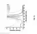 Fig. 17 - Fluorescent conjugated polymers with a bodipy-based backbone and uses thereof