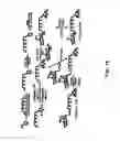 Fig. 22 - Fluorescent conjugated polymers with a bodipy-based backbone and uses thereof