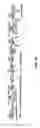 Fig. 25 - Fluorescent conjugated polymers with a bodipy-based backbone and uses thereof