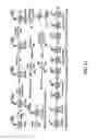 Fig. 27 - Fluorescent conjugated polymers with a bodipy-based backbone and uses thereof