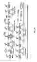 Fig. 29 - Fluorescent conjugated polymers with a bodipy-based backbone and uses thereof