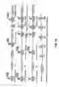 Fig. 30 - Fluorescent conjugated polymers with a bodipy-based backbone and uses thereof