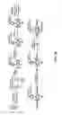 Fig. 42 - Fluorescent conjugated polymers with a bodipy-based backbone and uses thereof