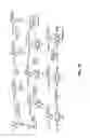 Fig. 43 - Fluorescent conjugated polymers with a bodipy-based backbone and uses thereof