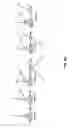 Fig. 48 - Fluorescent conjugated polymers with a bodipy-based backbone and uses thereof