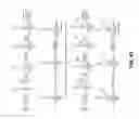 Fig. 49 - Fluorescent conjugated polymers with a bodipy-based backbone and uses thereof