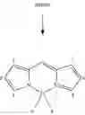 Fig. 56 - Fluorescent conjugated polymers with a bodipy-based backbone and uses thereof