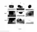 Fig. 06 - HYDROGEL BASED ON γ-POLYGLUTAMIC ACID AND ε-POLYLYSINE CROSSLINKED POLYMER, AND PREPARATION METHOD THEREFOR