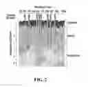 Fig. 03 - Tissue filler compositions and methods of use