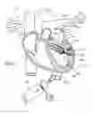 Fig. 02 - GEL DELIVERY CATHETERS, SYSTEMS, AND METHODS