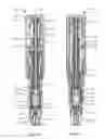 Fig. 05 - Autoinjector having needle shield triggering