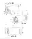 Fig. 13 - Enteral adaptor couplings