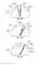 Fig. 12 - Coordinating musculoskeletal and cardiovascular hemodynamics