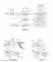 Fig. 04 - Subject target tissue specific template device