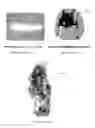 Fig. 02 - Fire and smoke compositions and the processes of making them