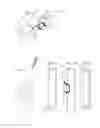 Fig. 04 - PORTABLE GYMNIC MACHINE AND BAG-CONTAINER FOR ITS TRANSPORT AND UTILIZATION