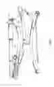 Fig. 08 - Abdominal Strengthening Apparatus